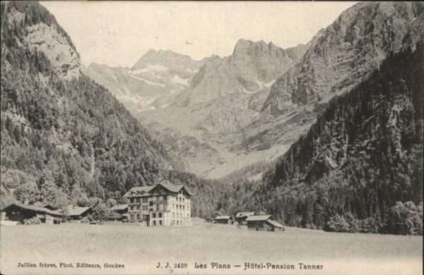 Les Plans-sur-Bex Les_Plans Hotel Pension Tanner