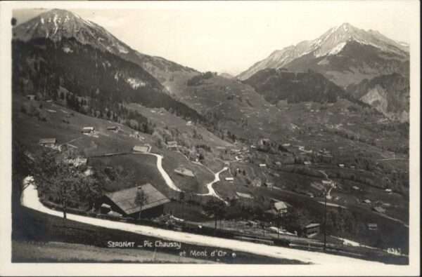 Pic chaussy Sergnat Mont d_Or