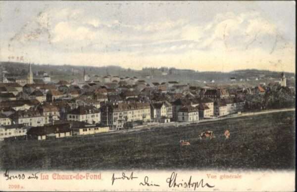 La Chaux-de-Fonds Kühe