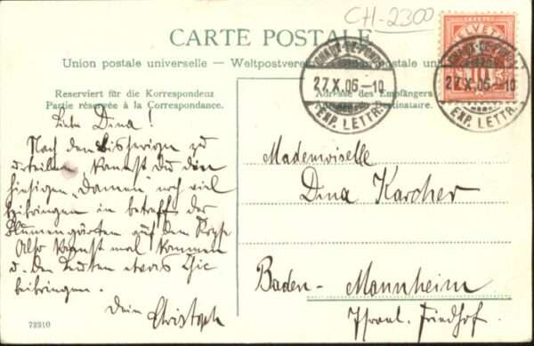 La Chaux-de-Fonds Kühe – Bild 2