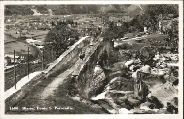 Biasca Ponte S Petronilla Ziege Brücke