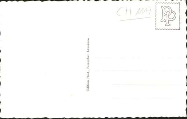 Chatel-St Denis Moleson – Bild 2