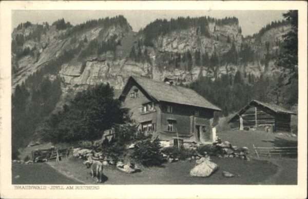 Braunwald GL Braunwald Rietberg Kuh