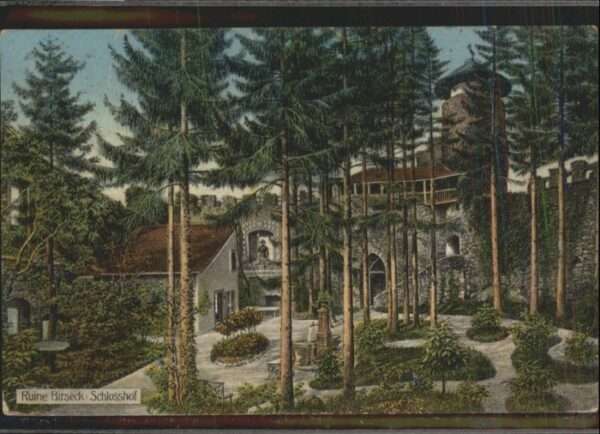 Arlesheim Ruine Birseck Schlosshof
