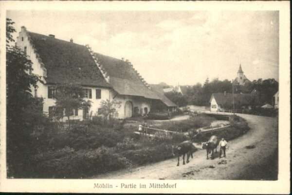 Moehlin itteldorf Kühe *