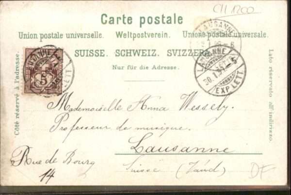 Genf GE Genf Kathedrale Blumen – Bild 2