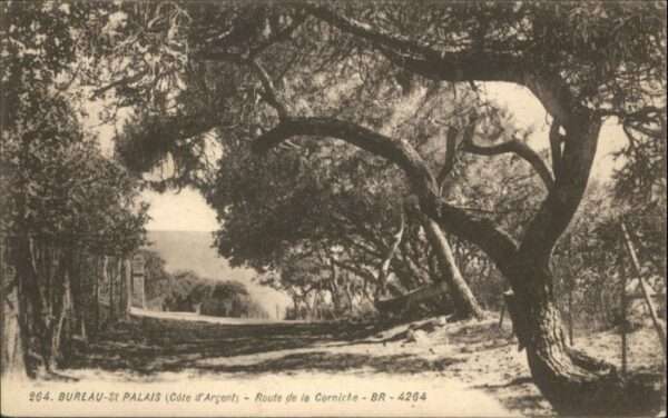 Saint-Palais-sur-Mer Burea Route de la Corniche