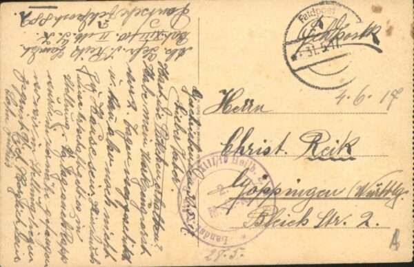 Morey – Bild 2
