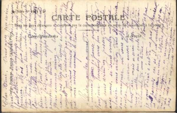 Saint-Etienne-sur-Charlaronne Fleurs – Bild 2