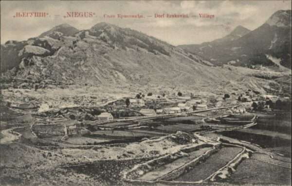 Erakovici Niegus