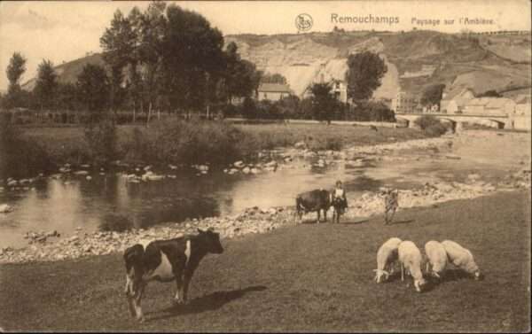 Remouchamps Liege Remouchamps Ambleve Schaf Kuh