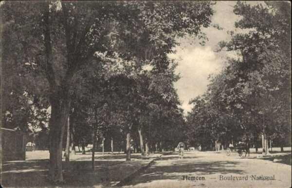 Tlemcen Boulevard National