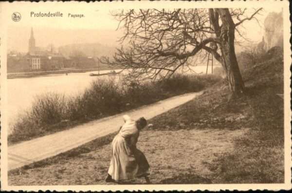 Profondeville Paysage
