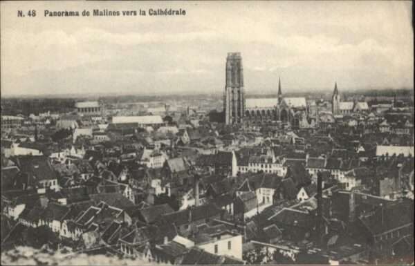 Malines Mechelen Flandre Malines Cathedrale