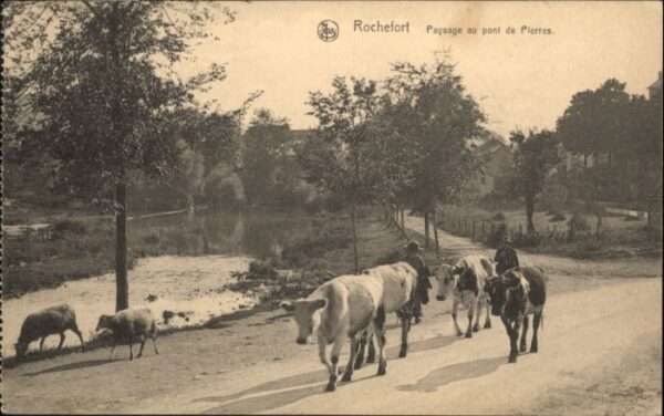 Rochefort Paysage Pont Pierres Kuh
