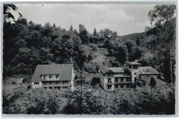 Diemerstein Pfalz Frankenstein Pfalz Ruine Diemerstein