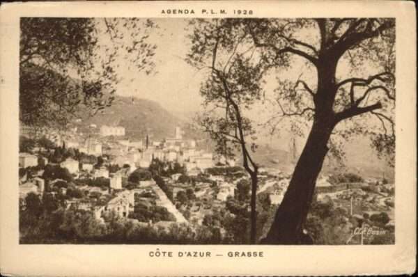 Grasse