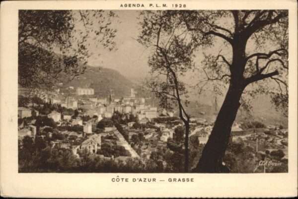 Grasse