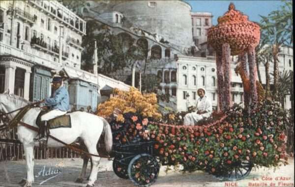 Nice Alpes Maritimes Nice Betaille Fleurs