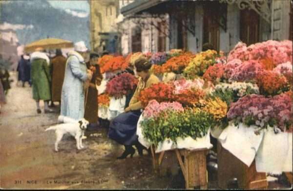 Nice Alpes Maritimes Nice Marche Fleurs