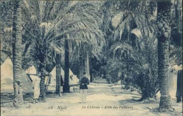Nice Alpes Maritimes Nice Chateau Allee Palmier