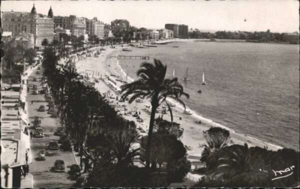 Cannes Alpes-Maritimes Cannes