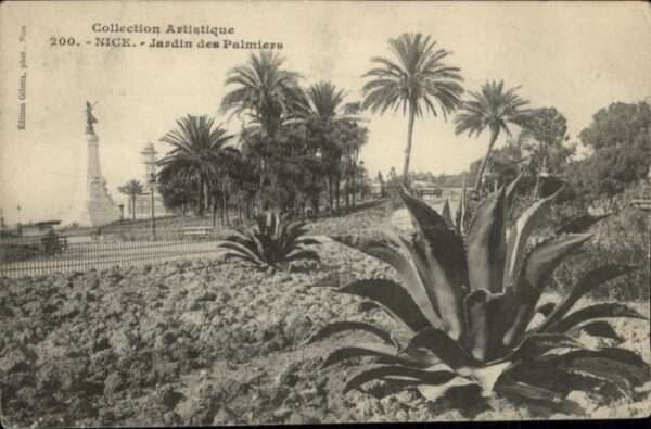 Nice Alpes Maritimes Nice Jardin Palmiers