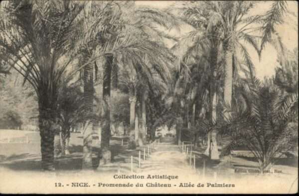 Nice Alpes Maritimes Nice Promenade Chateau Allee Palmiers