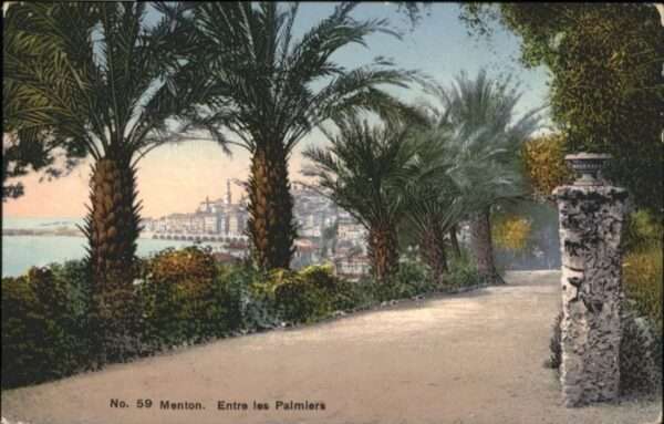 Menton Alpes Maritimes Menton Palmiers