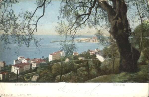 Menton Alpes Maritimes Menton