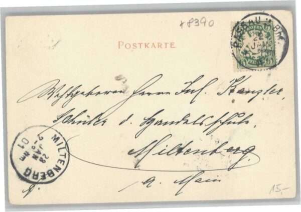 Hals Passau Hals – Bild 2