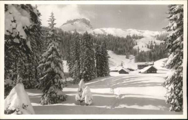 Hirschegg Kleinwalsertal Vorarlberg Hirschegg Kleinwalsertal Sporthotel Aue