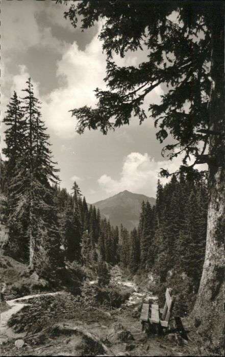 Kleinwalsertal Bärgunttal Walmendinger Horn