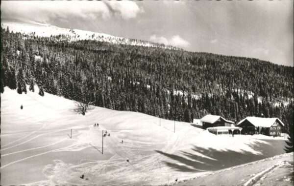 Hirschegg Kleinwalsertal Vorarlberg Hirschegg Kleinwalsertal Jugendferienhe