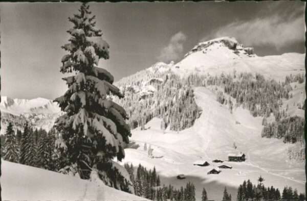 Kleinwalsertal Hotel Auenhütte