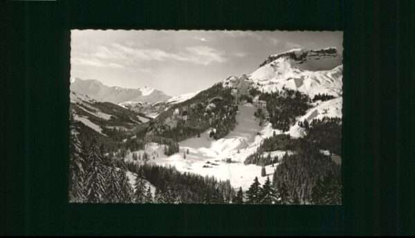 Kleinwalsertal Hotel Auenhütte
