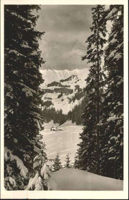 Hirschegg Kleinwalsertal Vorarlberg Hirschegg Kleinwalsertal Bergheim Wälde