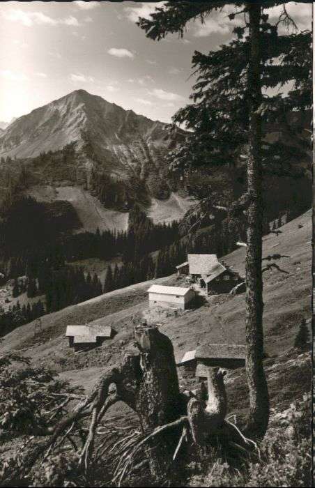 Hirschegg Kleinwalsertal Vorarlberg Hirschegg Kleinwalsertal Ifenhütte Walm