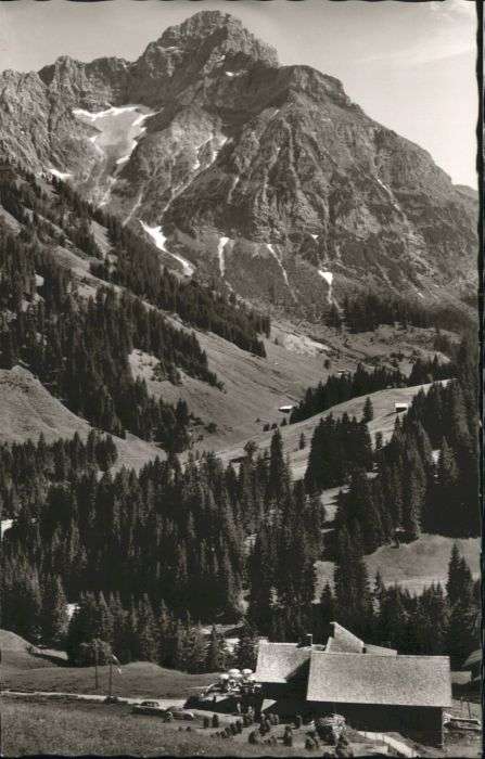 Baad Mittelberg Kleinwalsertal Baad Kleinwalsertal Starzelhaus