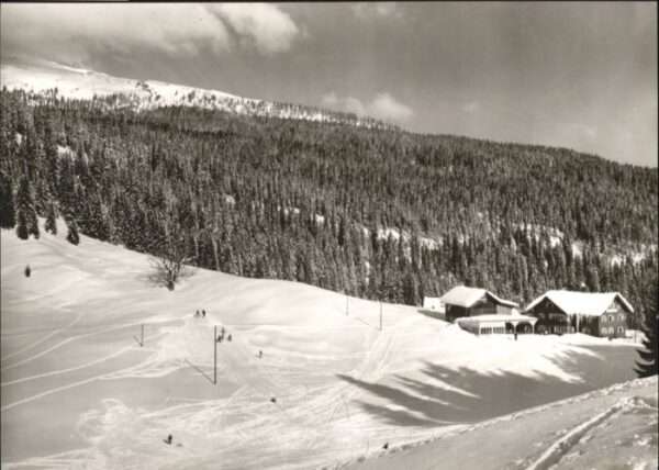 Hirschegg Kleinwalsertal Vorarlberg Hirschegg Kleinwalsertal Jugendferienhe