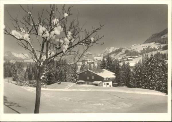 Riezlern Kleinwalsertal Vorarlberg Riezlern_Kleinwalsertal Haus Vogtland