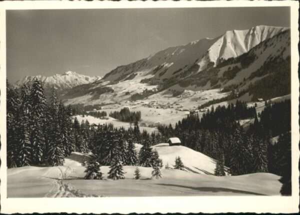 Riezlern Kleinwalsertal Vorarlberg Riezlern_Kleinwalsertal Fellhorn Söller