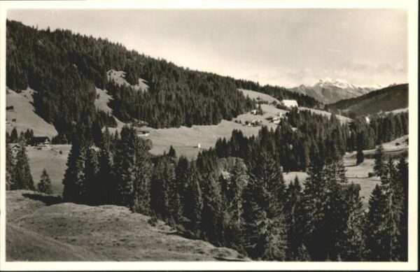 Riezlern Kleinwalsertal Vorarlberg Riezlern_Kleinwalsertal Mahdtalhaus