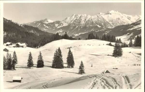 Hirschegg Kleinwalsertal Vorarlberg Hirschegg_Kleinwalsertal Wäldele Schnip