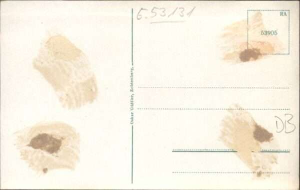 Zobtenberg – Bild 2