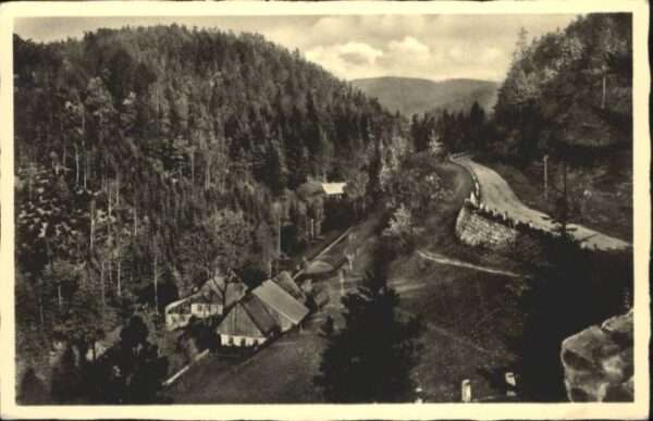 Bad Kudowa Niederschlesien Bad Kudowa Forsthaus Restaurant Heusche