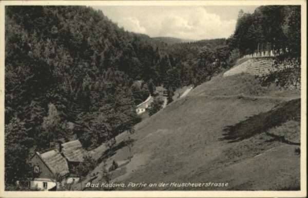 Bad Kudowa Niederschlesien Bad Kudowa Heuscheuerstrasse