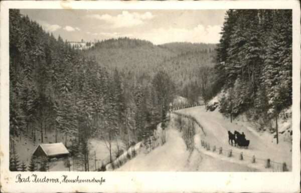 Bad Kudowa Niederschlesien Bad Kudowa Heuscheuerstrasse Schlitten