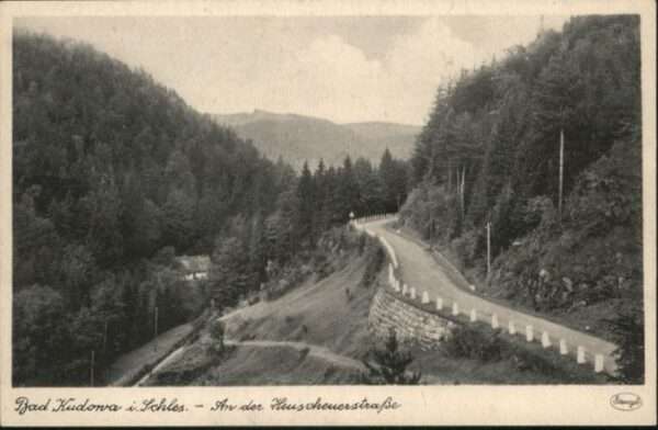 Bad Kudowa Niederschlesien Bad Kudowa Heuscheuerstrasse