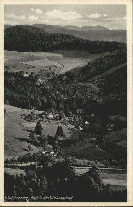 Woelfelsgrund Glatz Wölfelsgrund Blick in den Mückengrund *